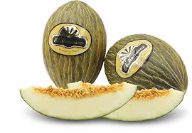 Melón Piel Sapo